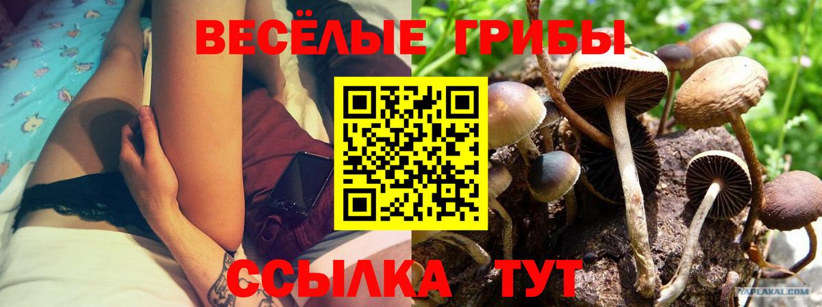 Троицк  Галлюциногенные грибы Psilocybine cubensis  Псилоцибиновые грибы мицелий  Вход с VPN 