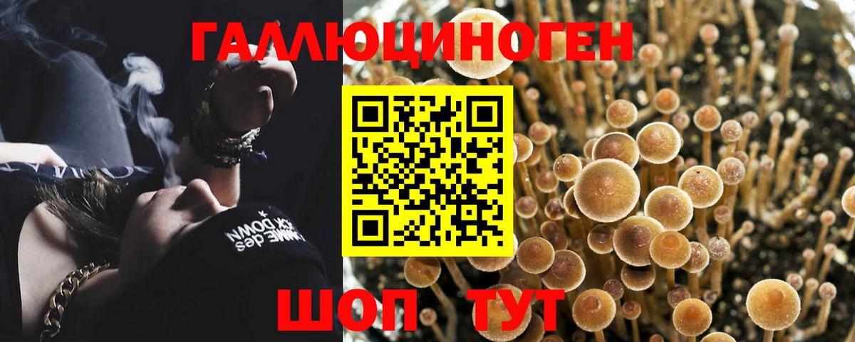 Псилоцибиновые грибы мицелий Троицк